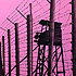 Watchtower