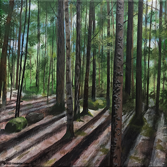 Forest38
